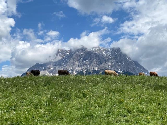 Bergheimat Tirol Apartment Lermoos Exterior foto